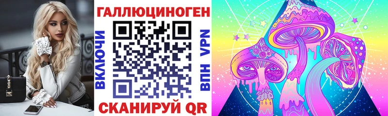 Псилоцибиновые грибы Psilocybe  Купить закладки  Осинники 